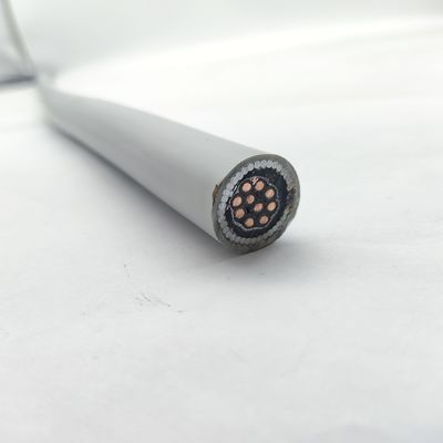 Bon prix Le câble d'instrumentation 300/500V CU/MGT/XLPE/OS/FR/LSZH/GSWA/LSZH 10х1 En ligne